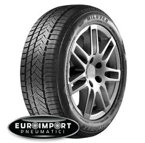 Milever Mw 255 205/50 R17 93 V XL  TL